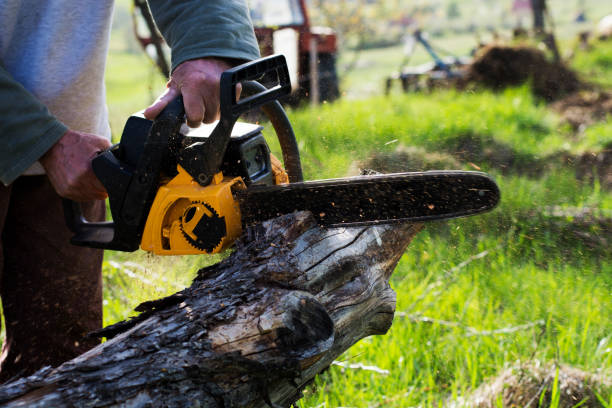 Best Emergency Tree Removal  in Strum, WI